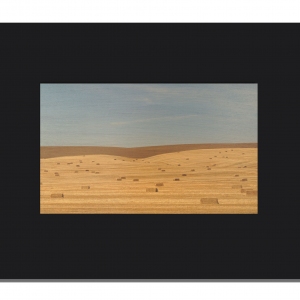 cdahlquist_mm659_11x14