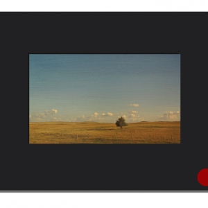 cdahlquist_mm737_11x14_sold