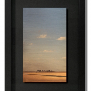 cdahlquist_mm548v_16x22