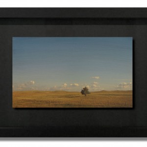 cdahlquist_mm737_16x22