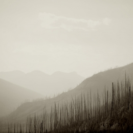 An_instant_16x16_photo_web