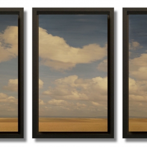 cdahlquist_mm697_45x29