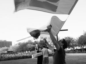 25mph winds didn't make our job easy that day. 