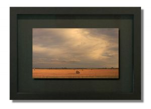cdahlquist_mm602_16x22.jpg
